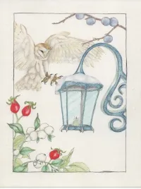 Chouette – Image 1