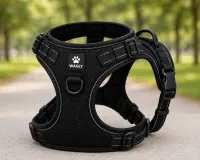 Adventure Harness – Black