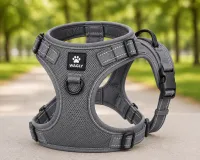 Adventure Harness – Gray