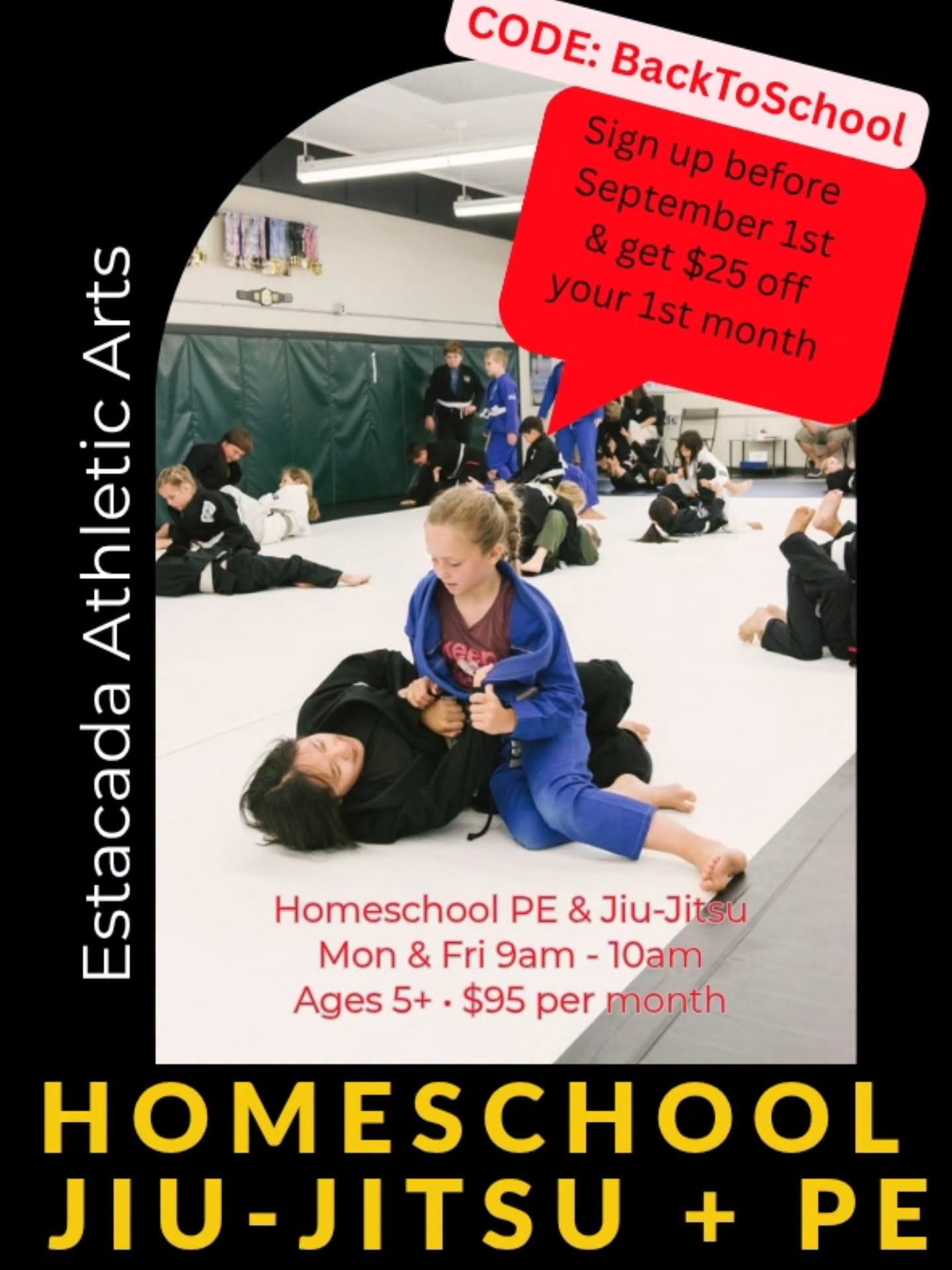 Homeschool Jiu-Jitsu – Image 1