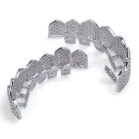 TP GRRILLZ FIT GOLD SILVER COLOUR  ICED OUT - MICRO PAVE CUBIC – Image 1