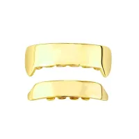 CYBERPUNK GLOSS CANINESS - GOLD PLATEFD SMOOTH SURFACE – Image 1