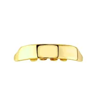 CYBERPUNK GLOSS CANINESS - GOLD PLATEFD SMOOTH SURFACE – Image 4