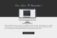 Ivory Real Estate Ultimate Branding Canva Template Bundle – Image 10