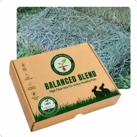 Promo Balanced Blend small – Image 1