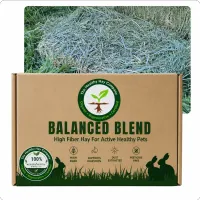 Promo Balanced Blend Large – Image 1