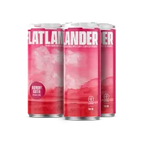 Raspberry Iced Tea – Image 1