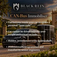 CAN Bus immobiliser – Image 1