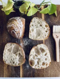 Learning - Chillspice Sourdough Club Membership – Image 13