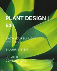 06 PLANT DESIGN | Edit – Image 1