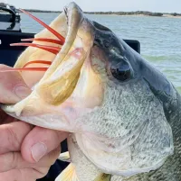 Reneau Tackle’s Anchor Weight – Image 4