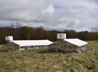 9×24 Broiler Coop – Maximum Capacity, Minimum Effort – Image 2