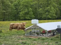 9×24 Broiler Coop – Maximum Capacity, Minimum Effort – Image 4