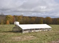 9×24 Broiler Coop – Maximum Capacity, Minimum Effort – Image 1