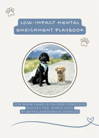 Low Impact Mental Enrichment Playbook – Image 1