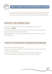 Low Impact Mental Enrichment Playbook – Image 2