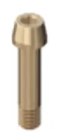 matrix® Clinical Retaining Screw – Ø 2.8 Long – Zirconia & Polymers