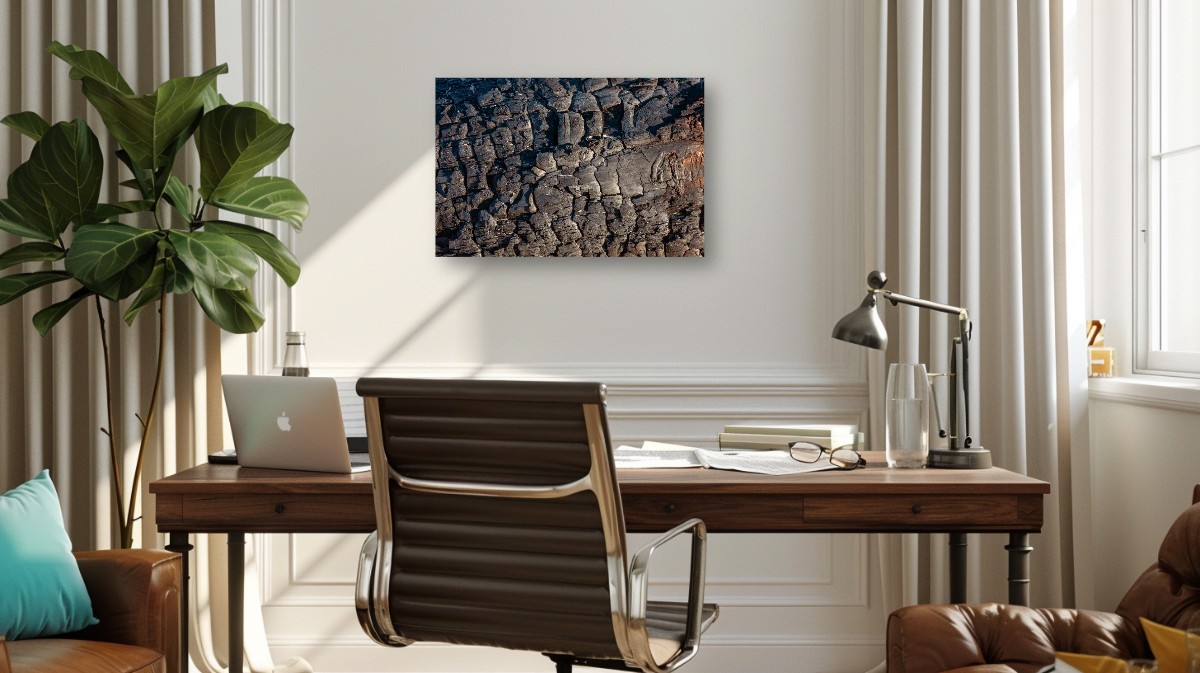Exploring Charred Wood – Image 3