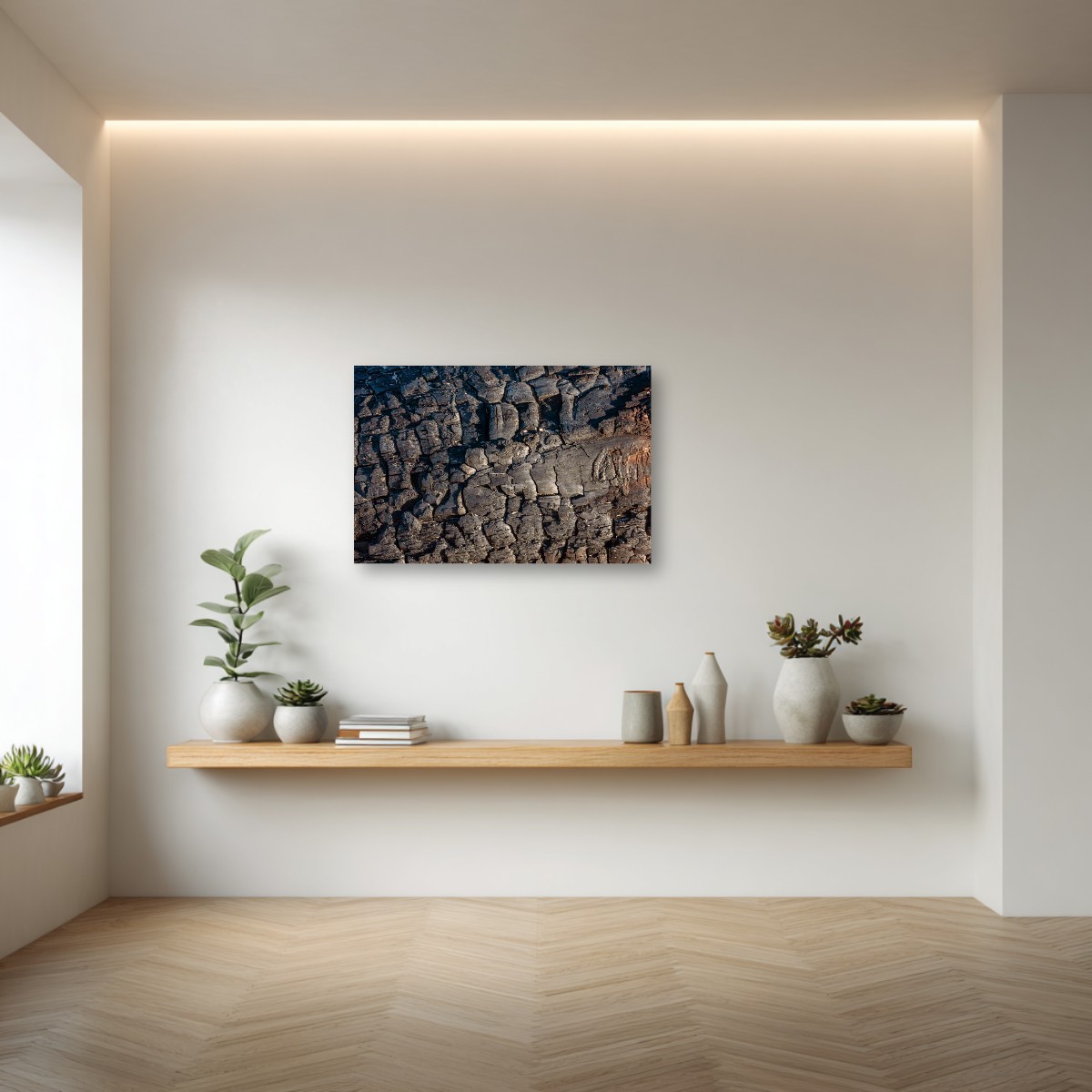 Exploring Charred Wood – Image 4