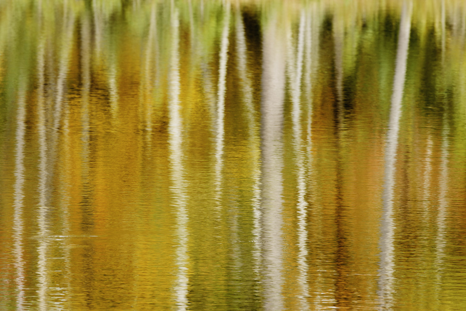 Reflections of Autumn – Image 1