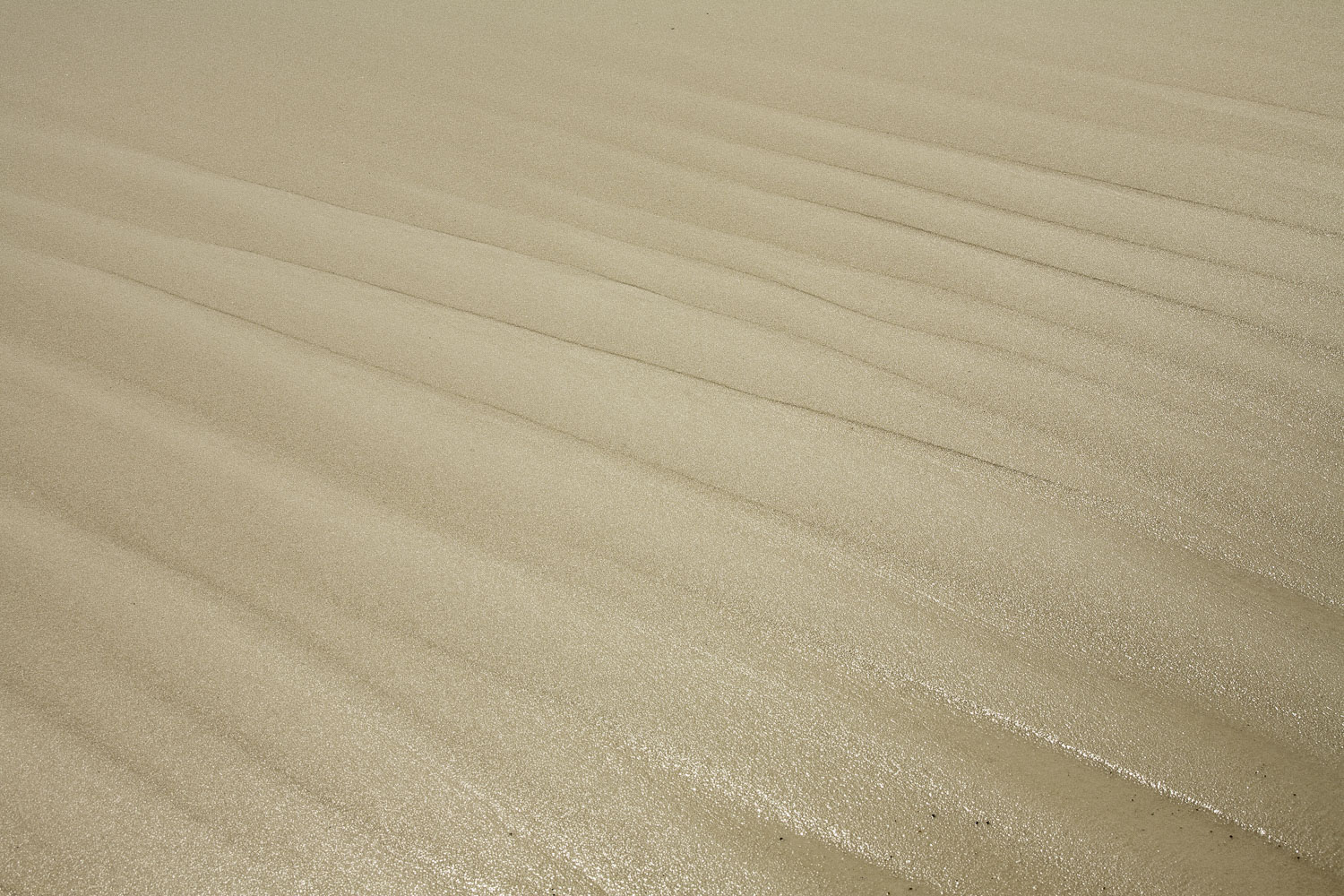 Ripples in Sand – Image 1