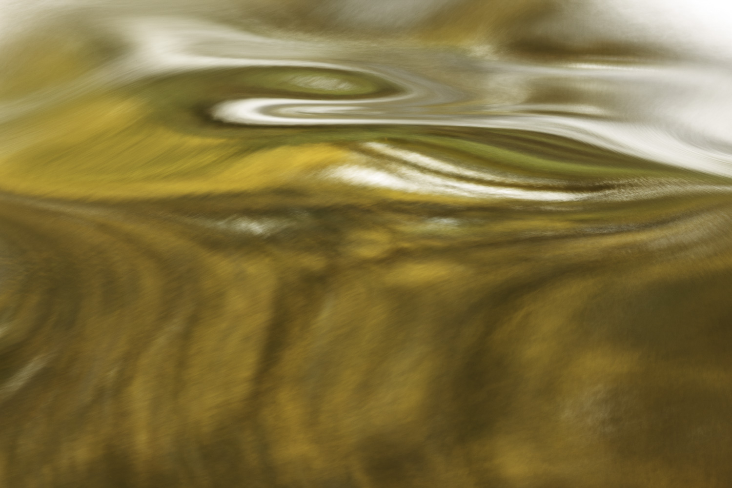 Autumn in Motion – Image 1