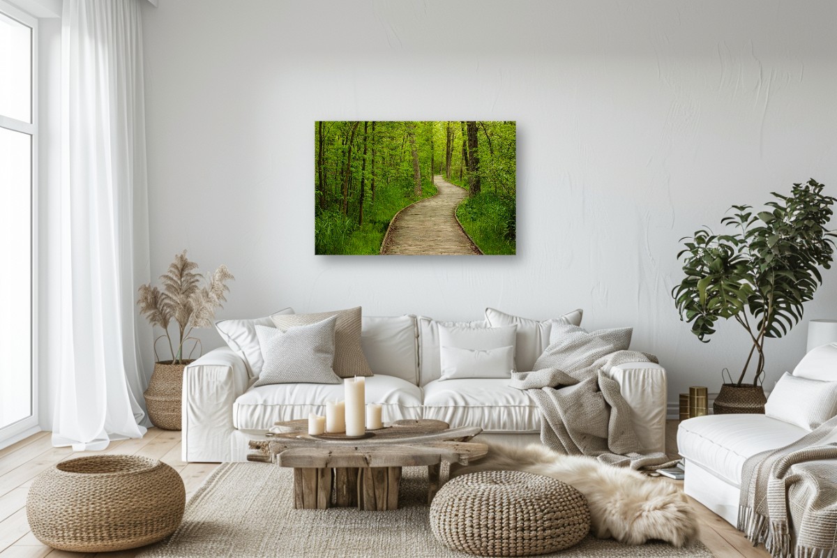 Meandering Boardwalk – Image 3