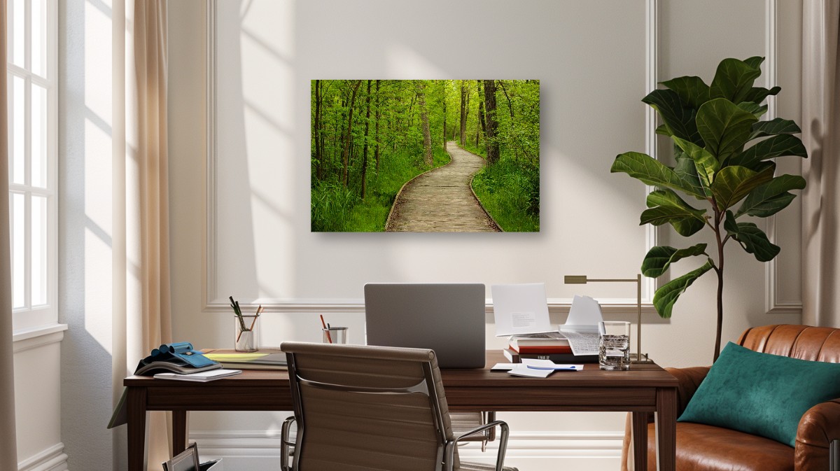 Meandering Boardwalk – Image 7