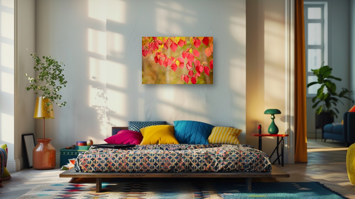 Colorfully Brilliant – Image 7