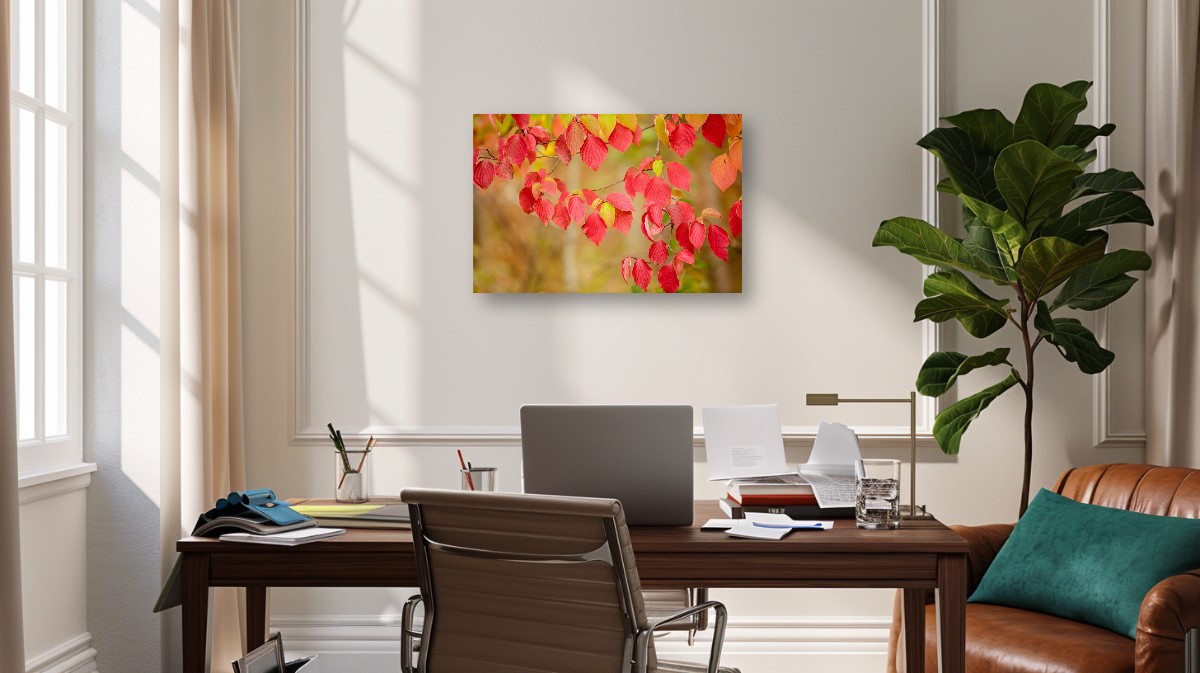 Colorfully Brilliant – Image 5