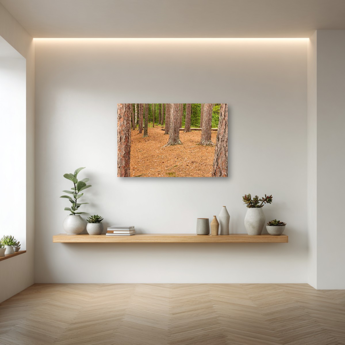 Distant Trail – Image 7