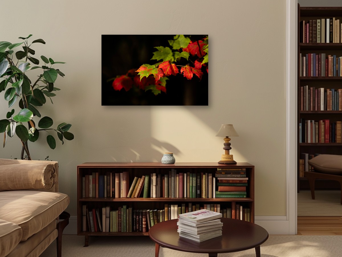 Isolated Autumn Maple Leaf Branch – Image 4