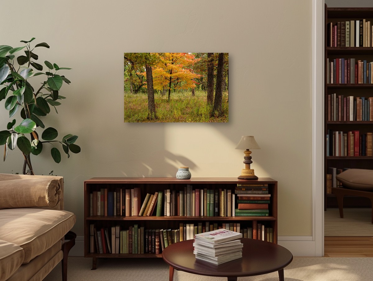 A Forest of Color – Image 5