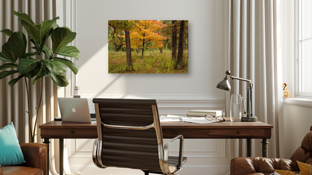 A Forest of Color – Image 6