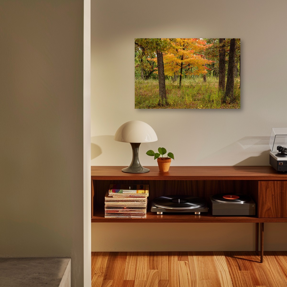 A Forest of Color – Image 4
