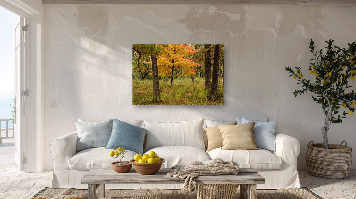 A Forest of Color – Image 3