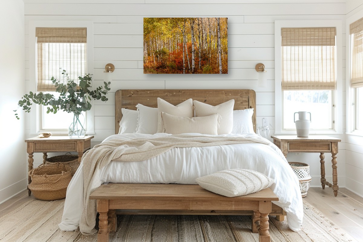 Changing Seasons – Image 7