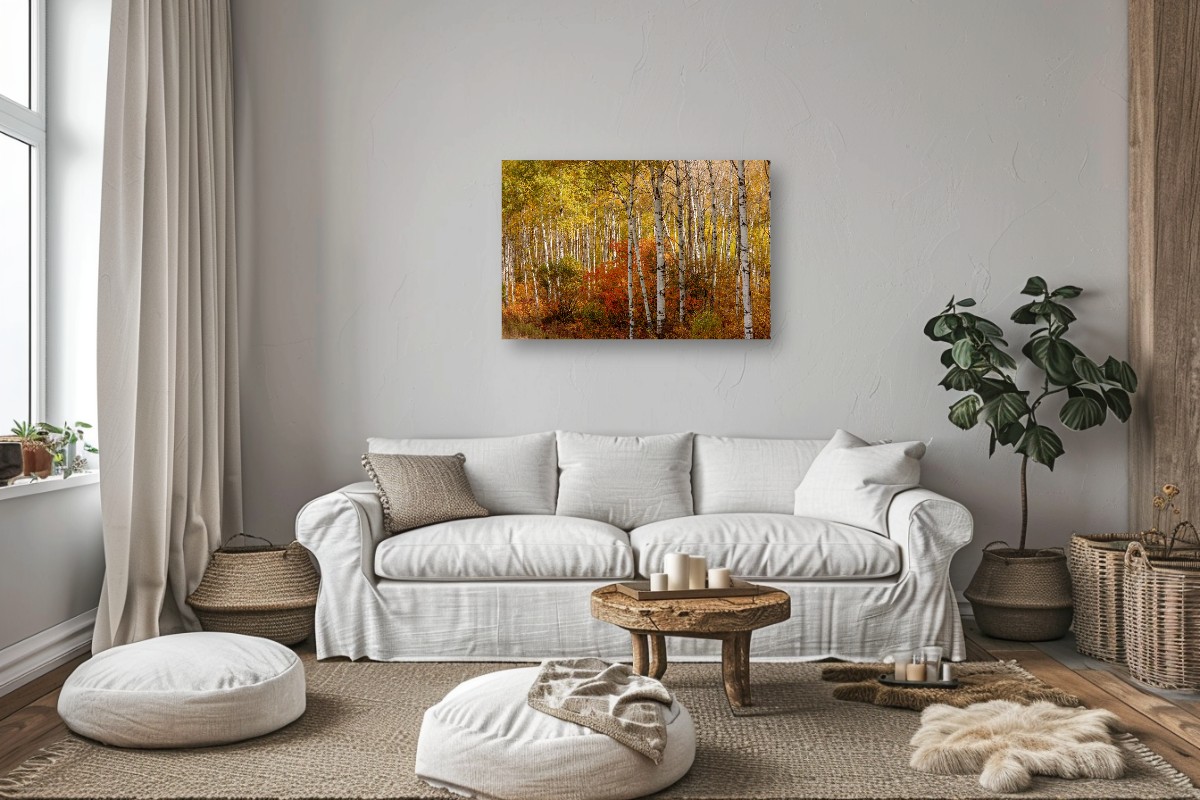 Changing Seasons – Image 8