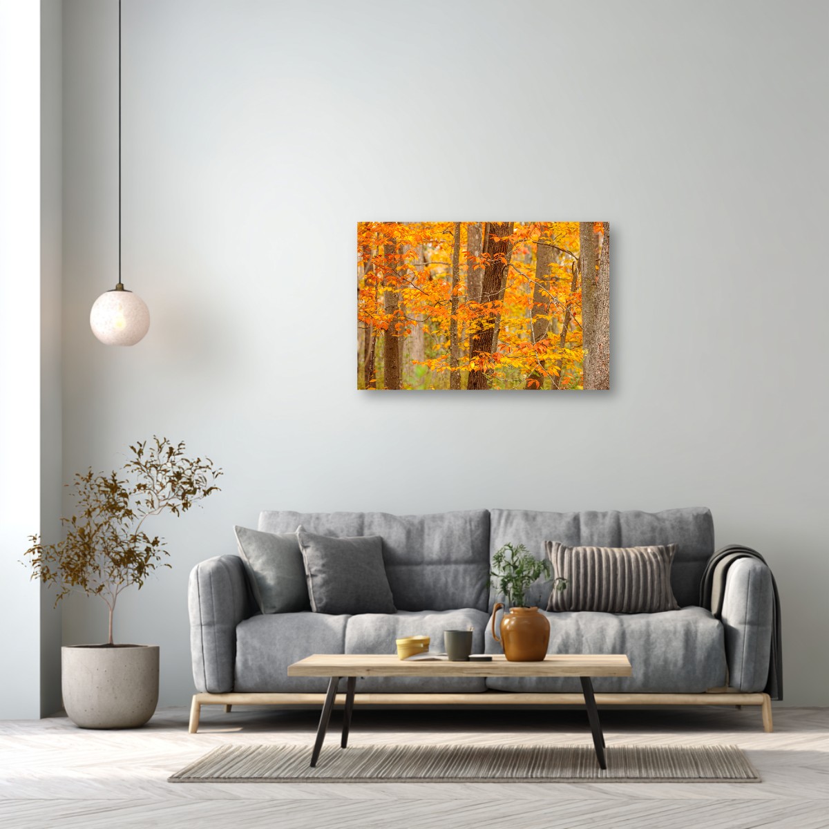 Autumn Colors – Image 2