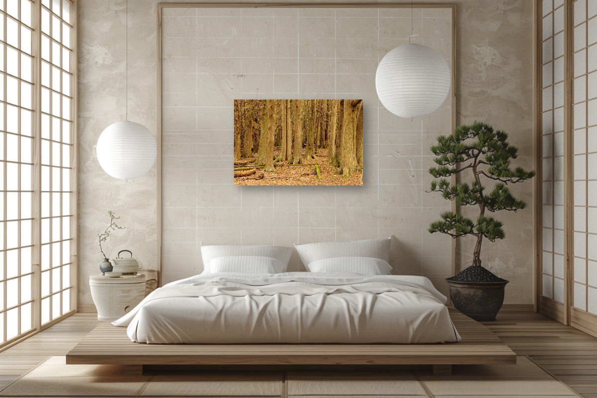 Cedar Forest Stillness – Image 5