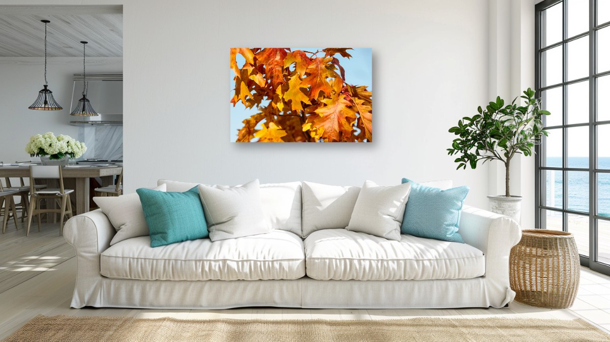 Autumn Oak Leaves – Image 4