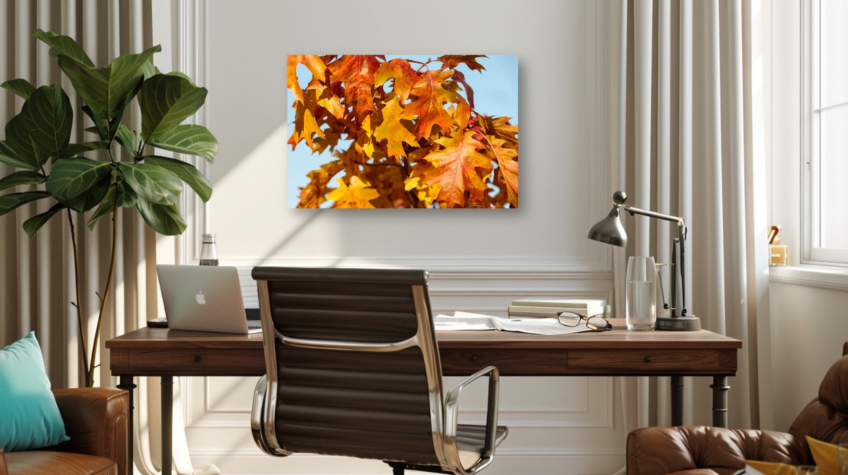 Autumn Oak Leaves – Image 2
