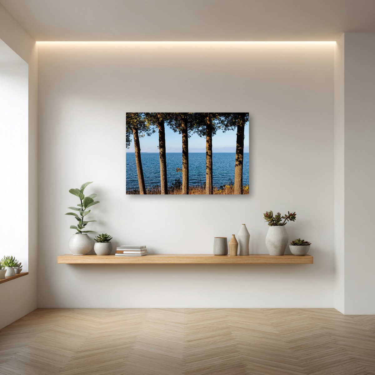 Five Cedar Trees – Image 4
