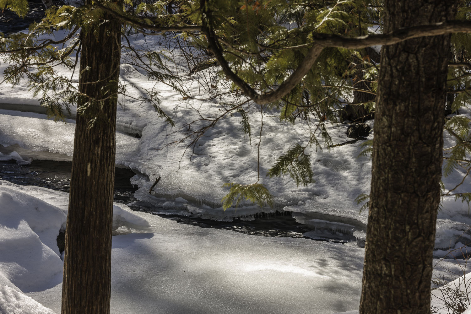 Winter Solitude – Image 1