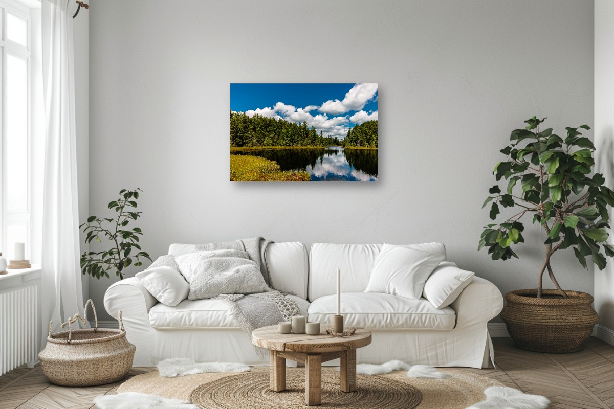 August Bog Lake – Image 7