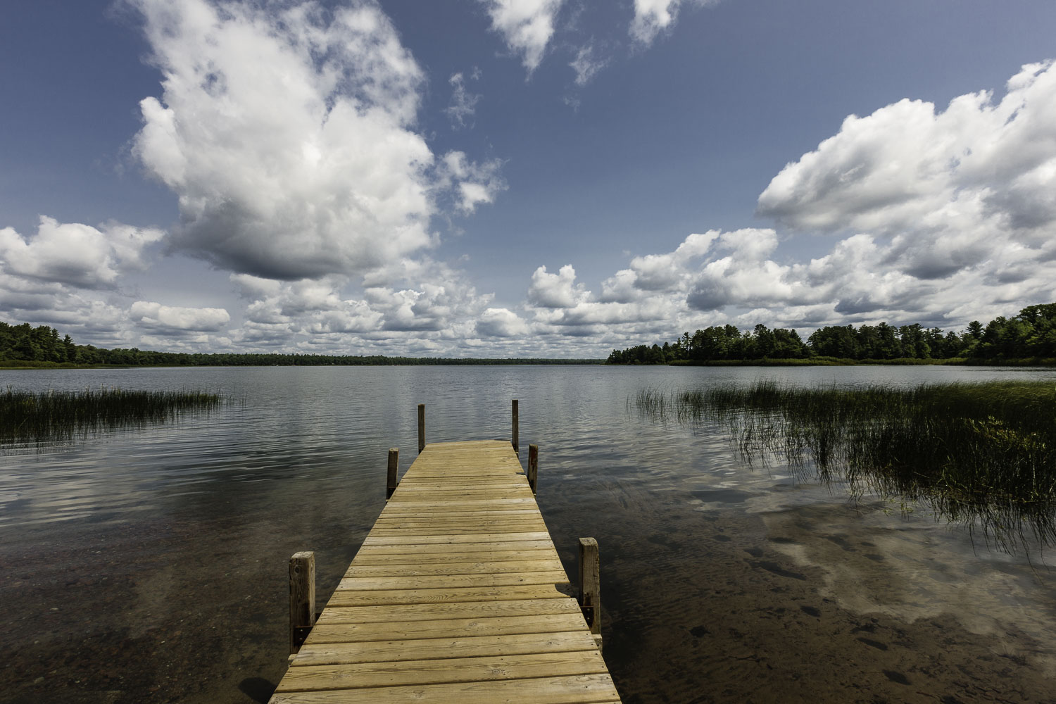 Summer Lake Memories – Image 1
