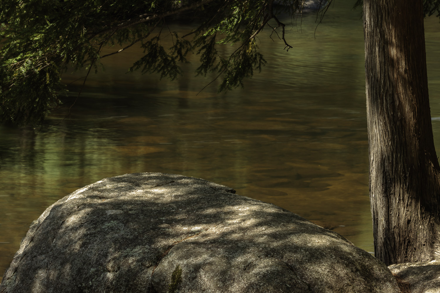 Quiet Along the River – Image 1