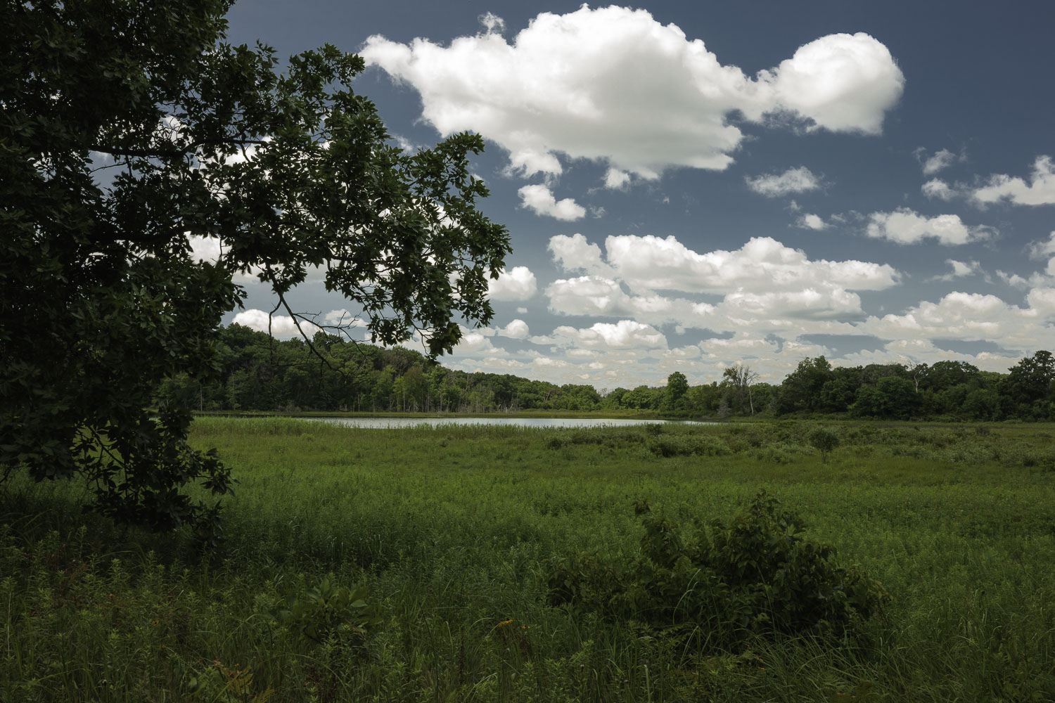 John Muir's Boyhood Lake – Image 1