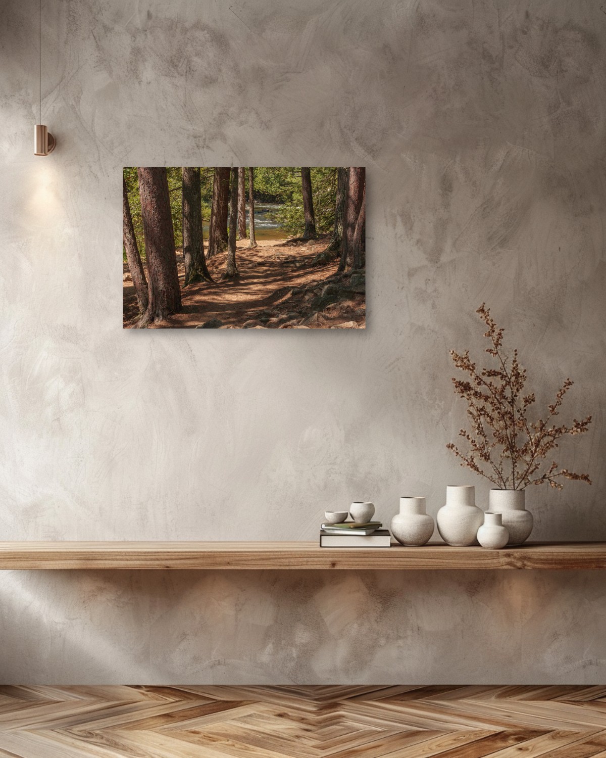 Shadows of Pines – Image 5
