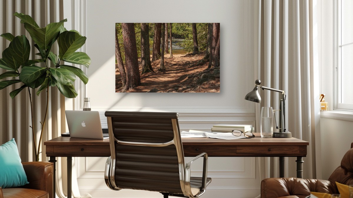 Shadows of Pines – Image 4